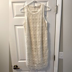 Loft dress size 6
